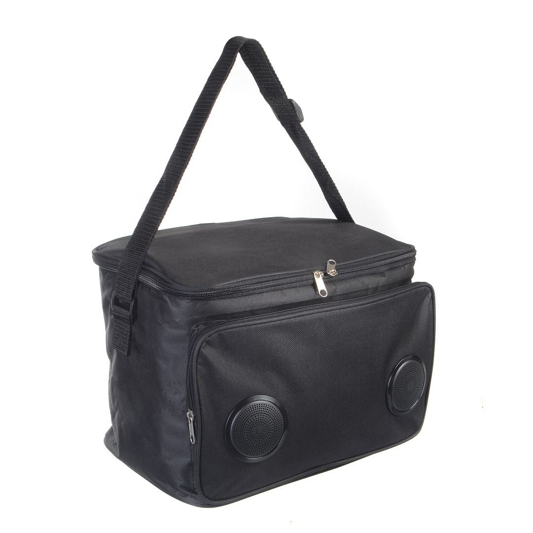 צידנית בשילוב רמקולים 