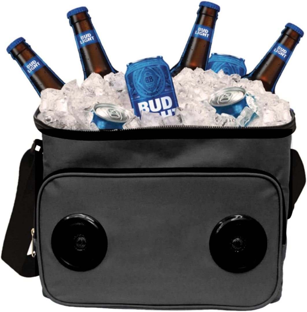 צידנית בשילוב רמקולים 