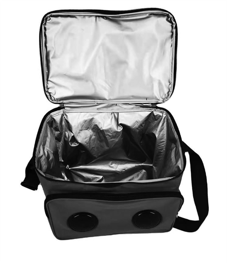 צידנית בשילוב רמקולים 