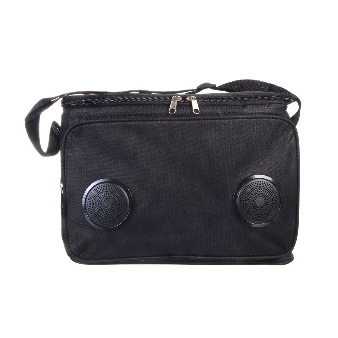 צידנית בשילוב רמקולים 