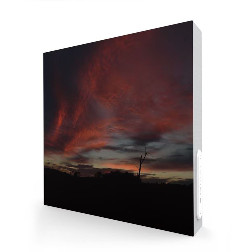 TC-221 רמקול בשילוב תמונה